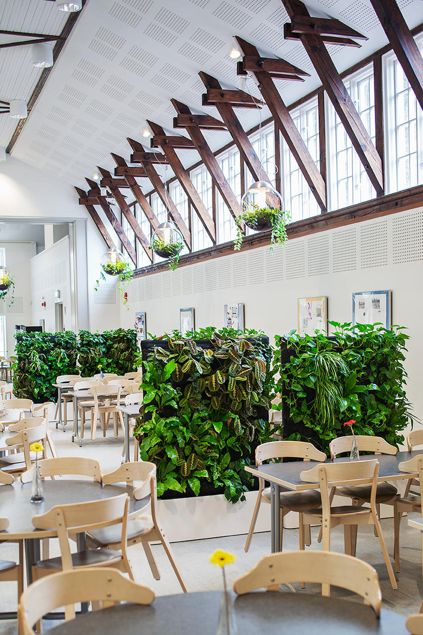 moving-hedge-room-divider-eslov-skola-so