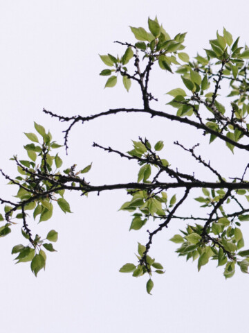 2024-sustainability-report_Seite_09_Bild_0001