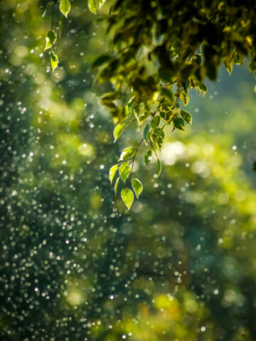 2024-sustainability-report_Seite_21_Bild_0001