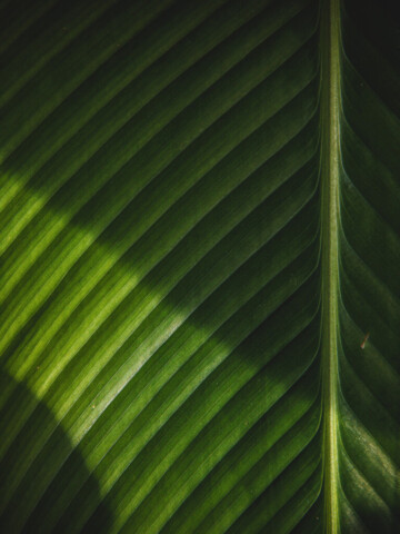 2024-sustainability-report_Seite_45_Bild_0001