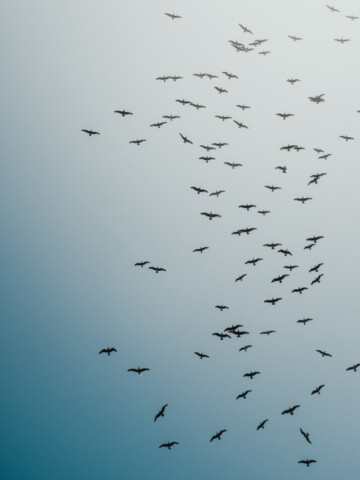 2024-sustainability-report_Seite_61_Bild_0001