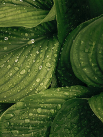 2024-sustainability-report_Seite_68_Bild_0001